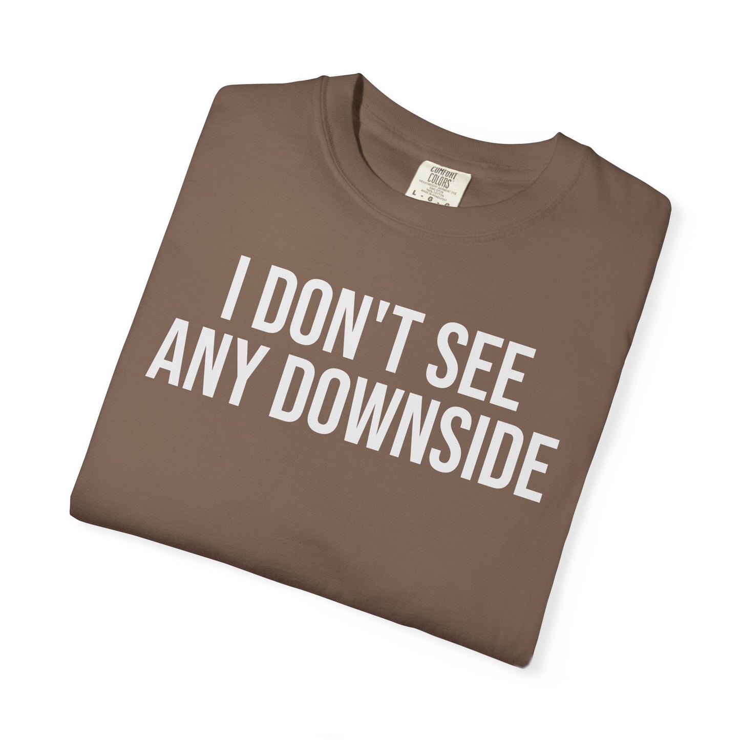I Don’t See Any Downside. – Coding & Programmer Humor T-Shirt | Comfort Colors 1717