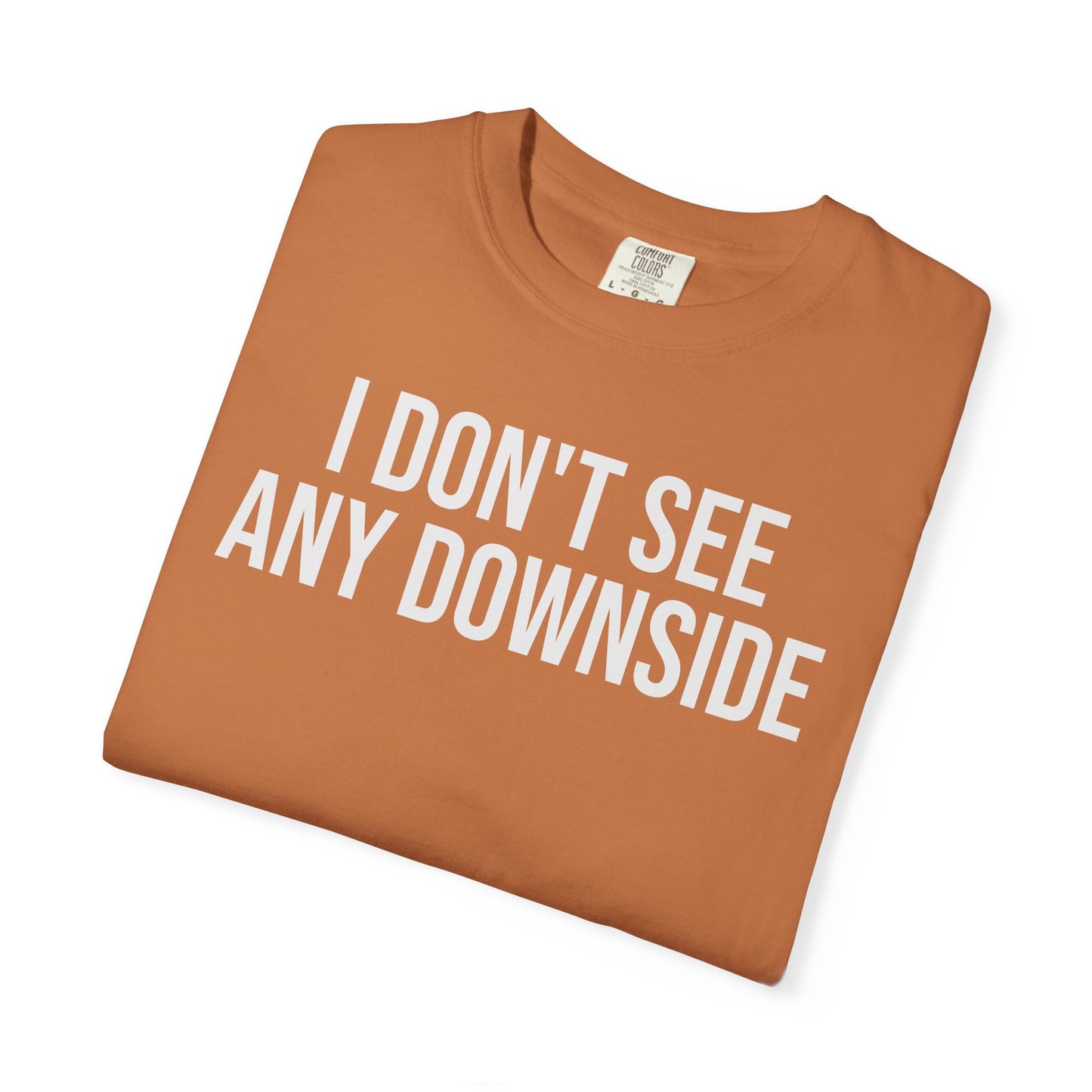 I Don’t See Any Downside. – Coding & Programmer Humor T-Shirt | Comfort Colors 1717