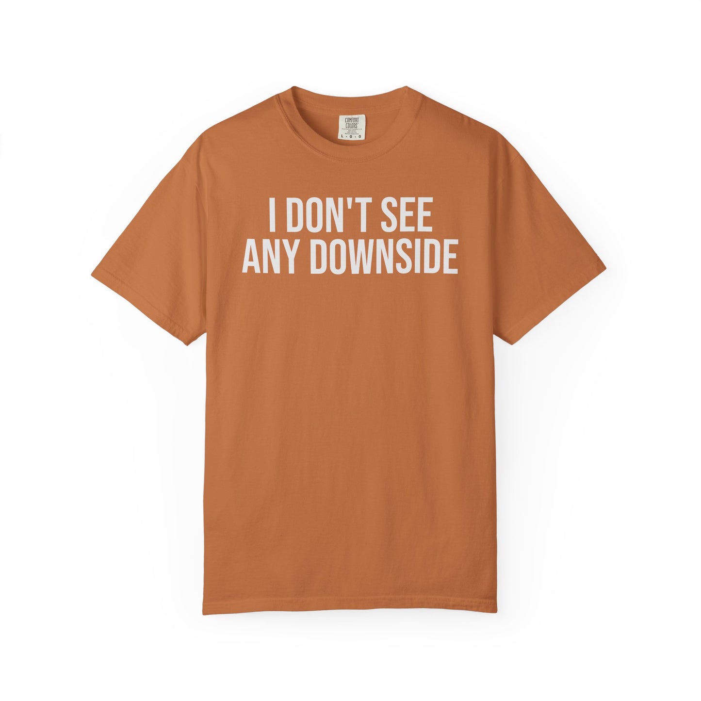 I Don’t See Any Downside. – Coding & Programmer Humor T-Shirt | Comfort Colors 1717