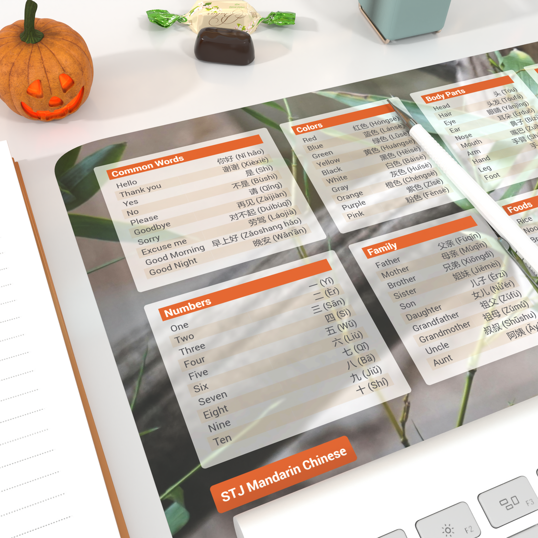 XXL Chinese Mandarin Desk Mat – 100 Essential Chinese Words & Phrases ...
