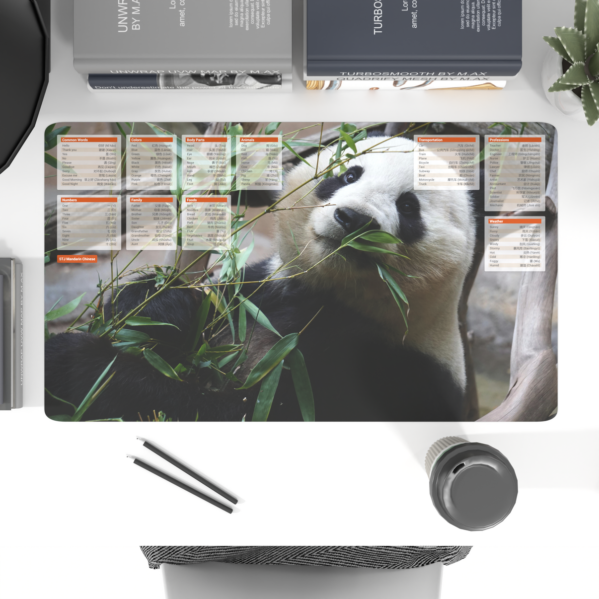 XXL Chinese Mandarin Desk Mat – 100 Essential Chinese Words & Phrases ...